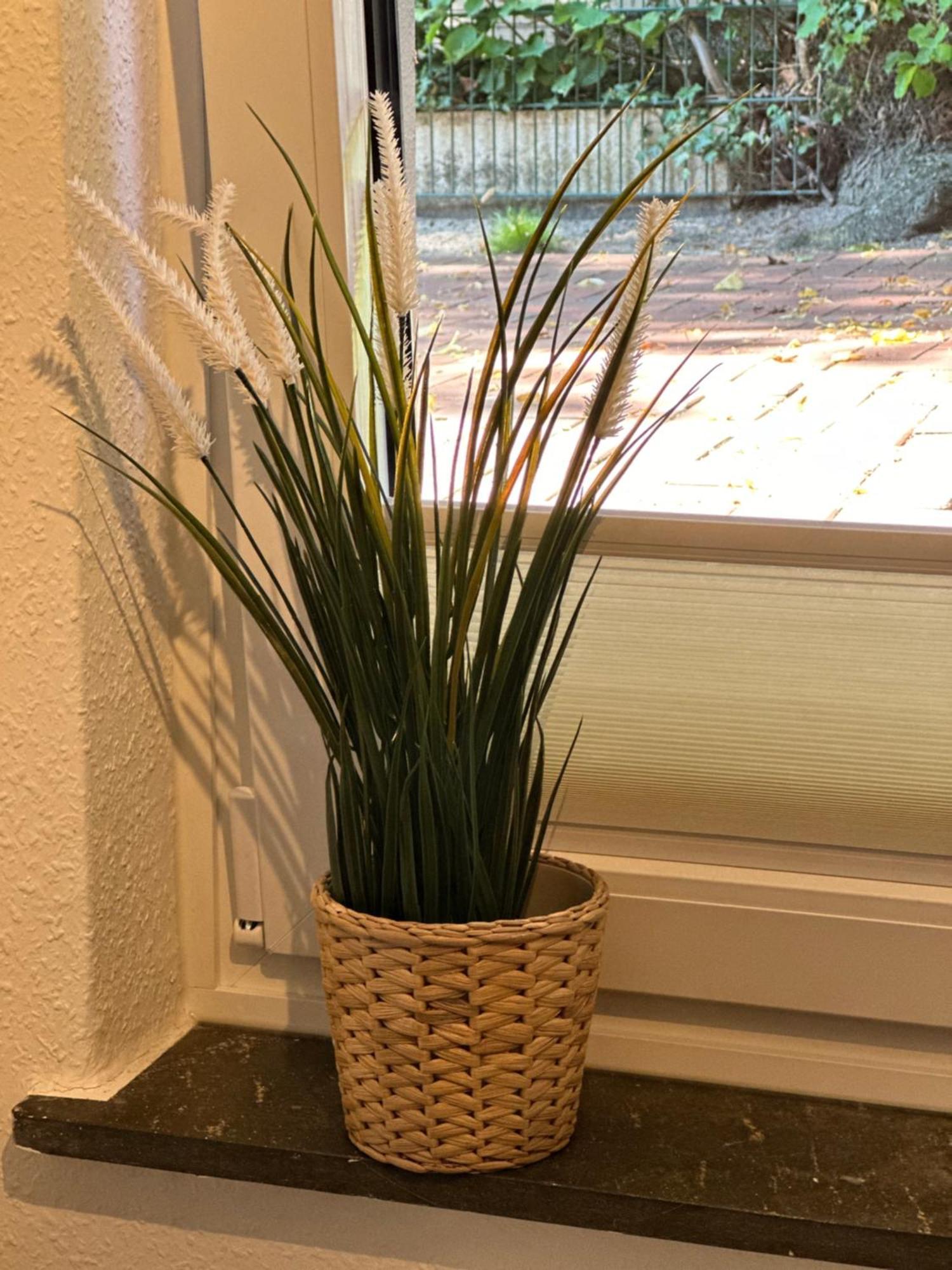 טימנדורפר שטרנד Waterkant Apartments מראה חיצוני תמונה